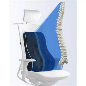 Perna ortopedica pentru spatarul scaunului