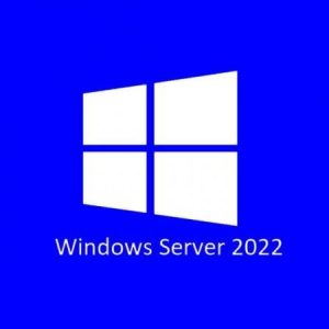 Licenta Microsoft Windows 2022 Server